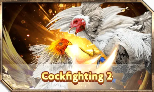 cockfighting 2